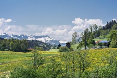 Blick zum Bregenzer Wald